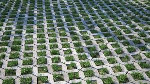 Grass Pavers